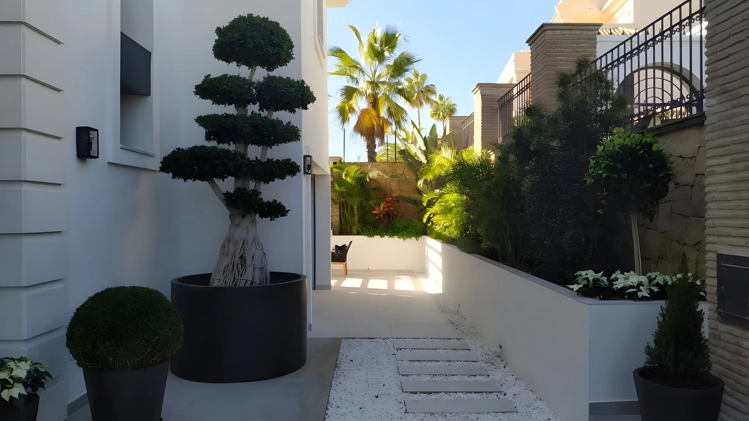Acceso ajardinado con bonsái y palmeras